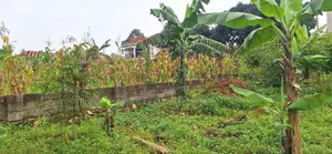 Plot for Sale in Kyanja