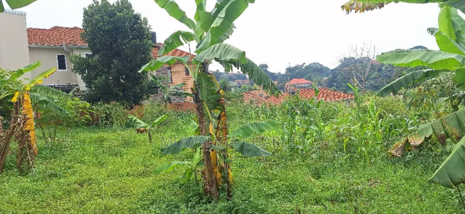 Plot for Sale in Kyanja