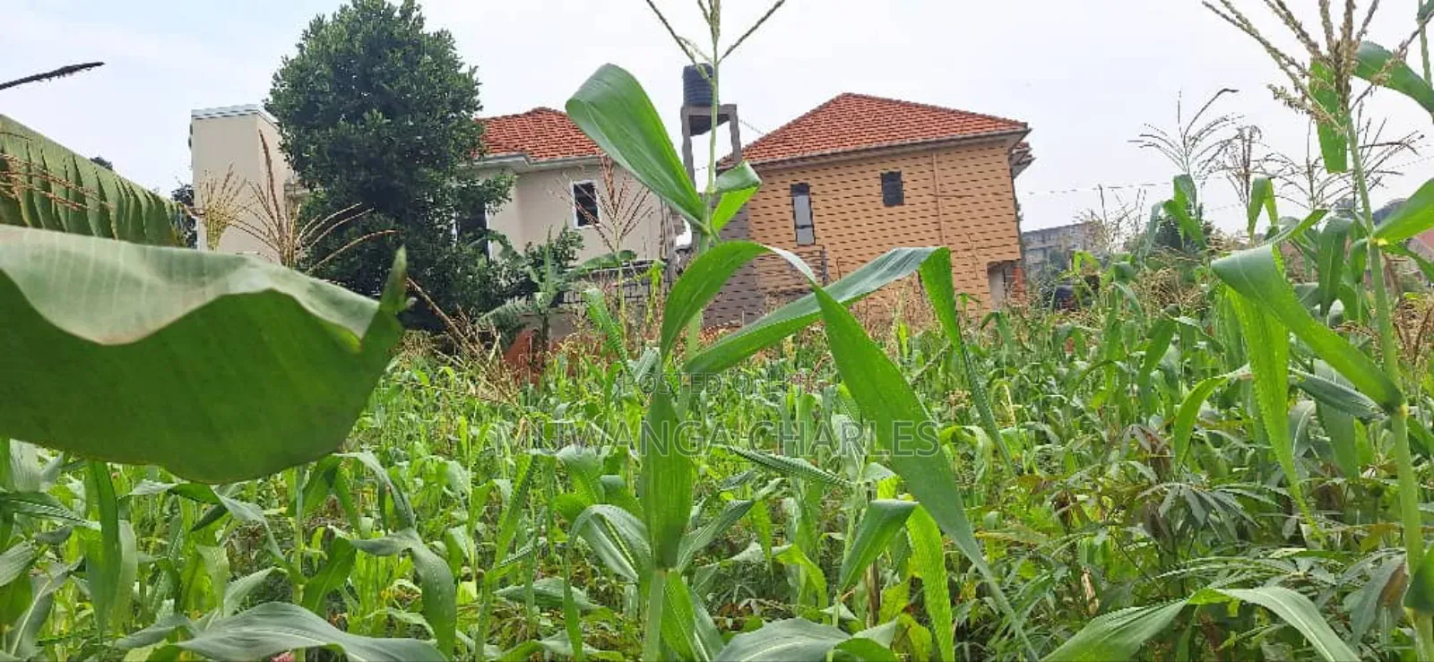 Plot for Sale in Kyanja