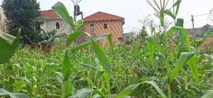 Plot for Sale in Kyanja