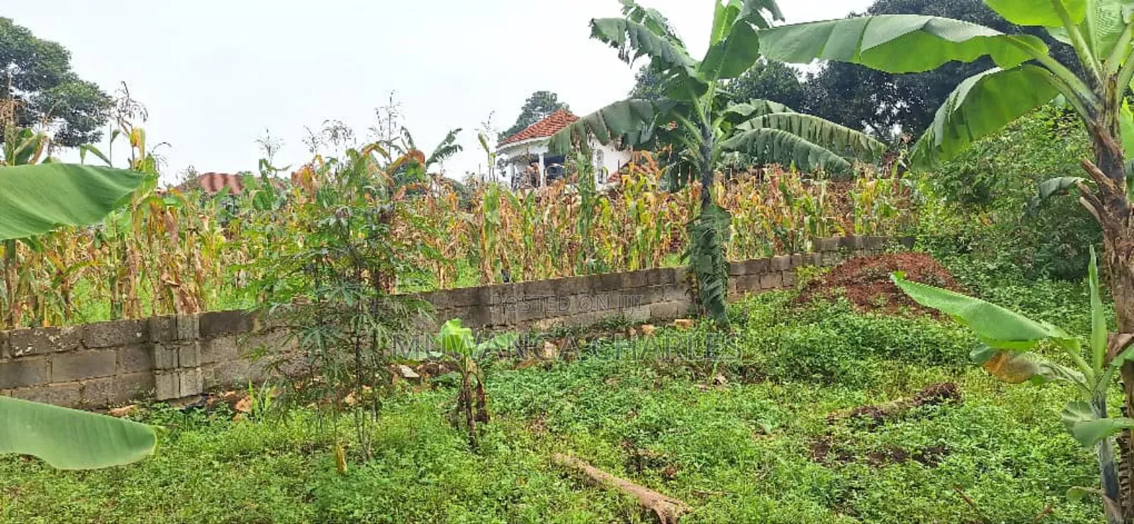 Plot for Sale in Kyanja