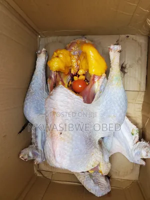 Dressed Turkey