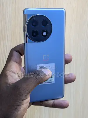 OnePlus Ace 2 512 GB Gray