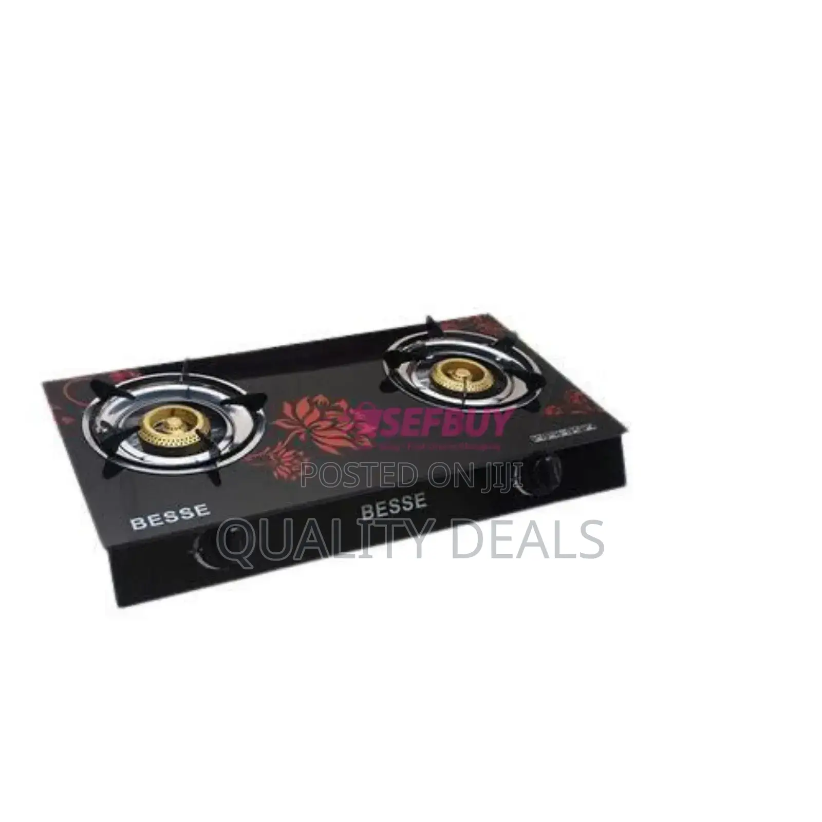 Besse Double Burner Gas Stove