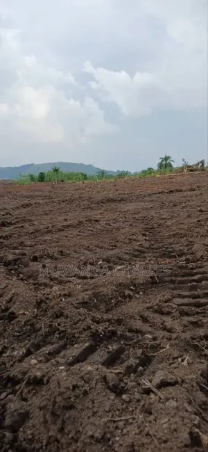 Plot for Sale in Busika