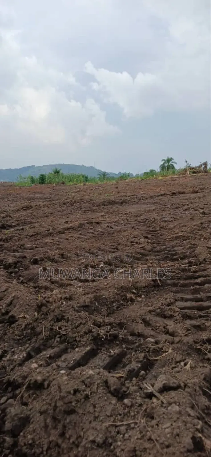 Plot for Sale in Busika