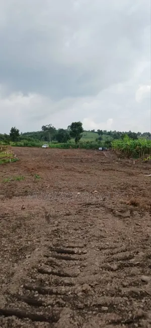 Plot for Sale in Busika