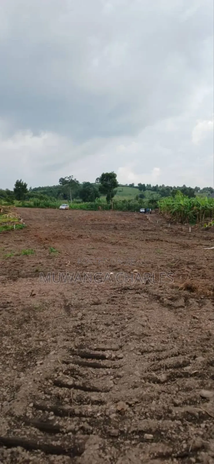 Plot for Sale in Busika