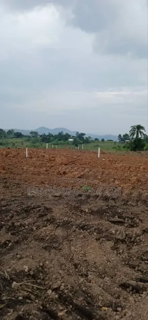 Plot for Sale in Busika