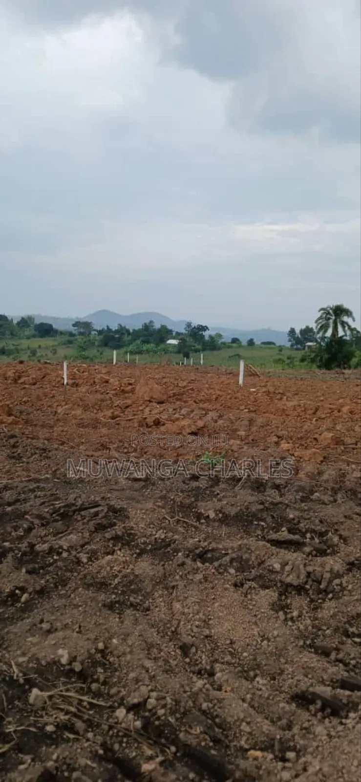Plot for Sale in Busika