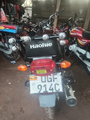 Haojue EX125 2024 Brown