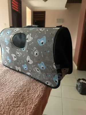 Foldable Pet Container