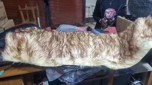 Dash Board Hairy Cover