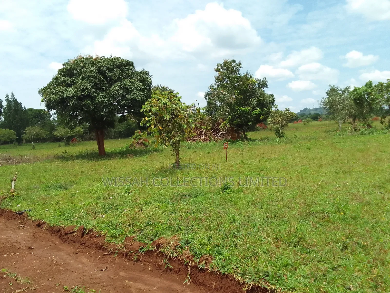 Land and Plots