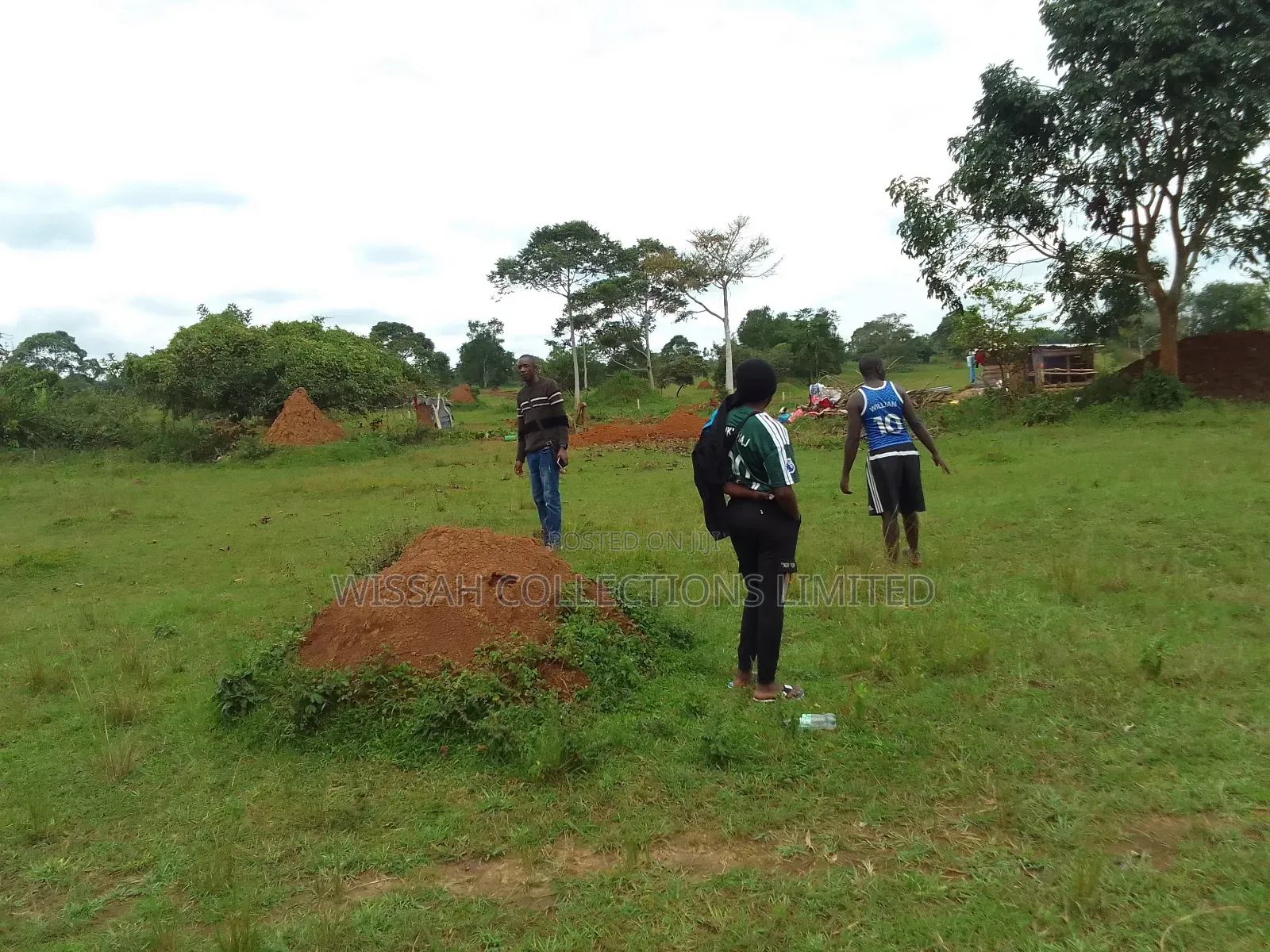Land and Plots