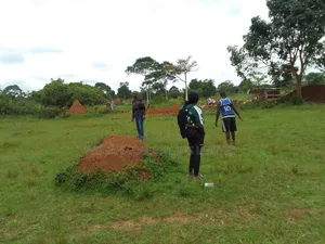 Land and Plots