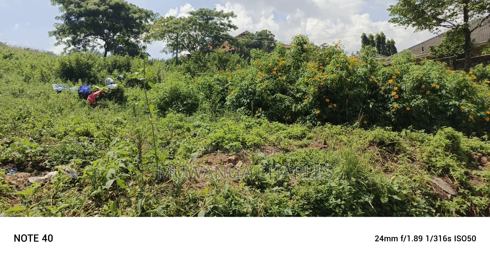 50decimals of Land for Sale in Mutungo
