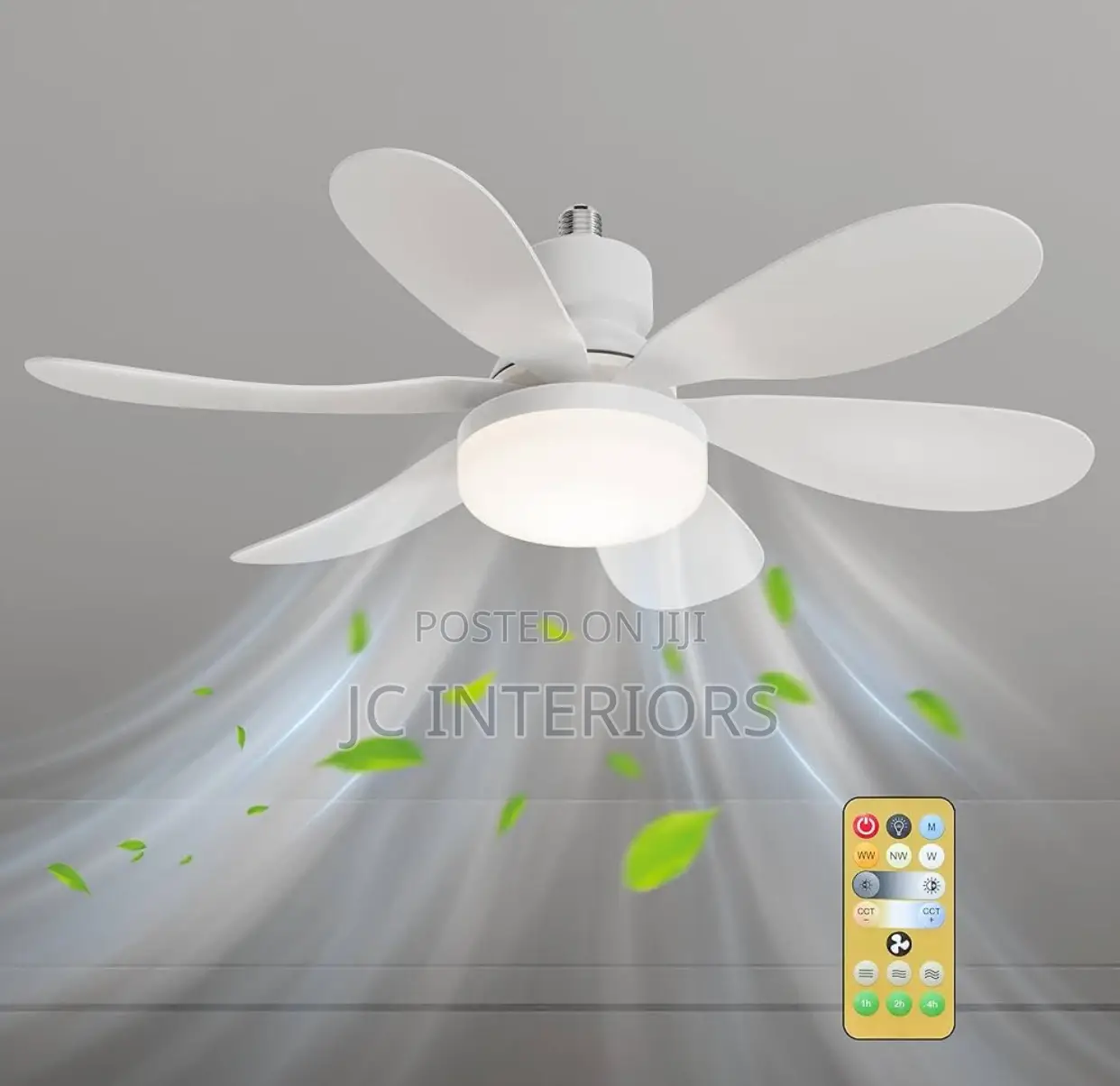 Ceiling Fan