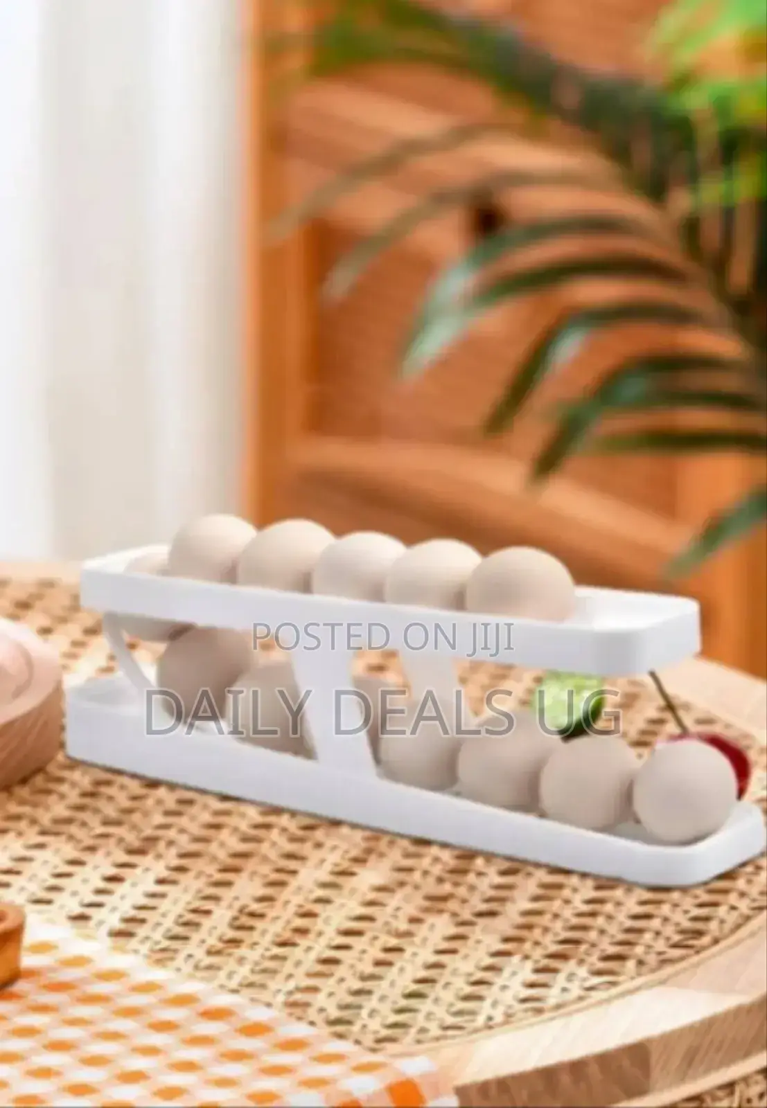 2 Layer Egg Storage Rack