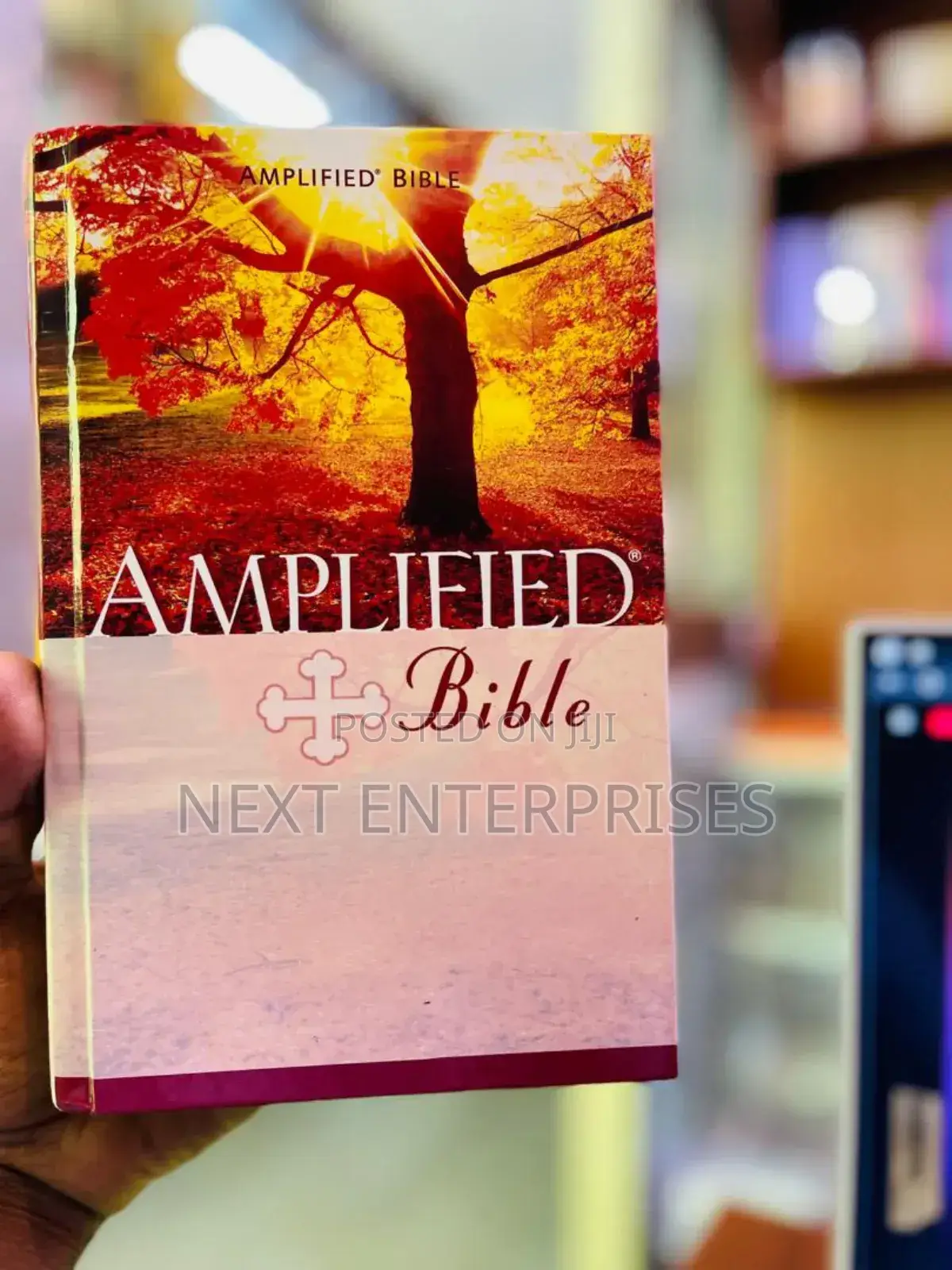The Amplifier Holy Bible