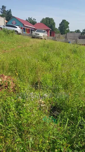 Genuine Plot of Land for Sale