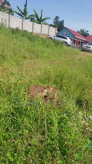 Genuine Plot of Land for Sale