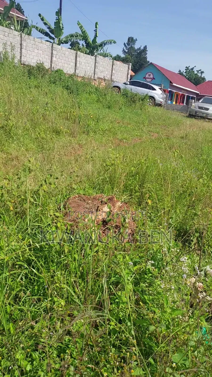 Genuine Plot of Land for Sale
