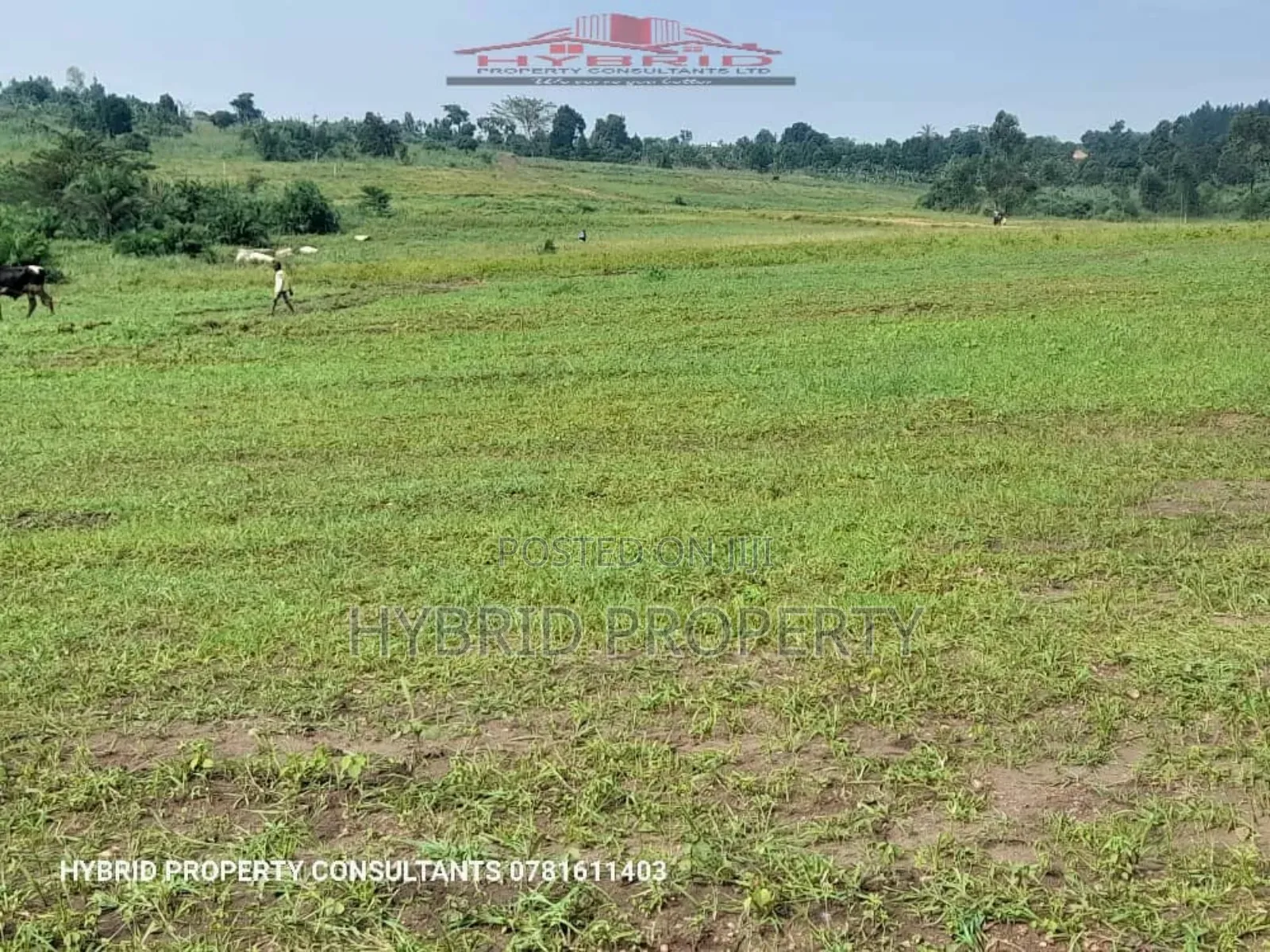 Prime Plots for Sale at Busiika~Vumba Elite Estate~Gayaza Rd