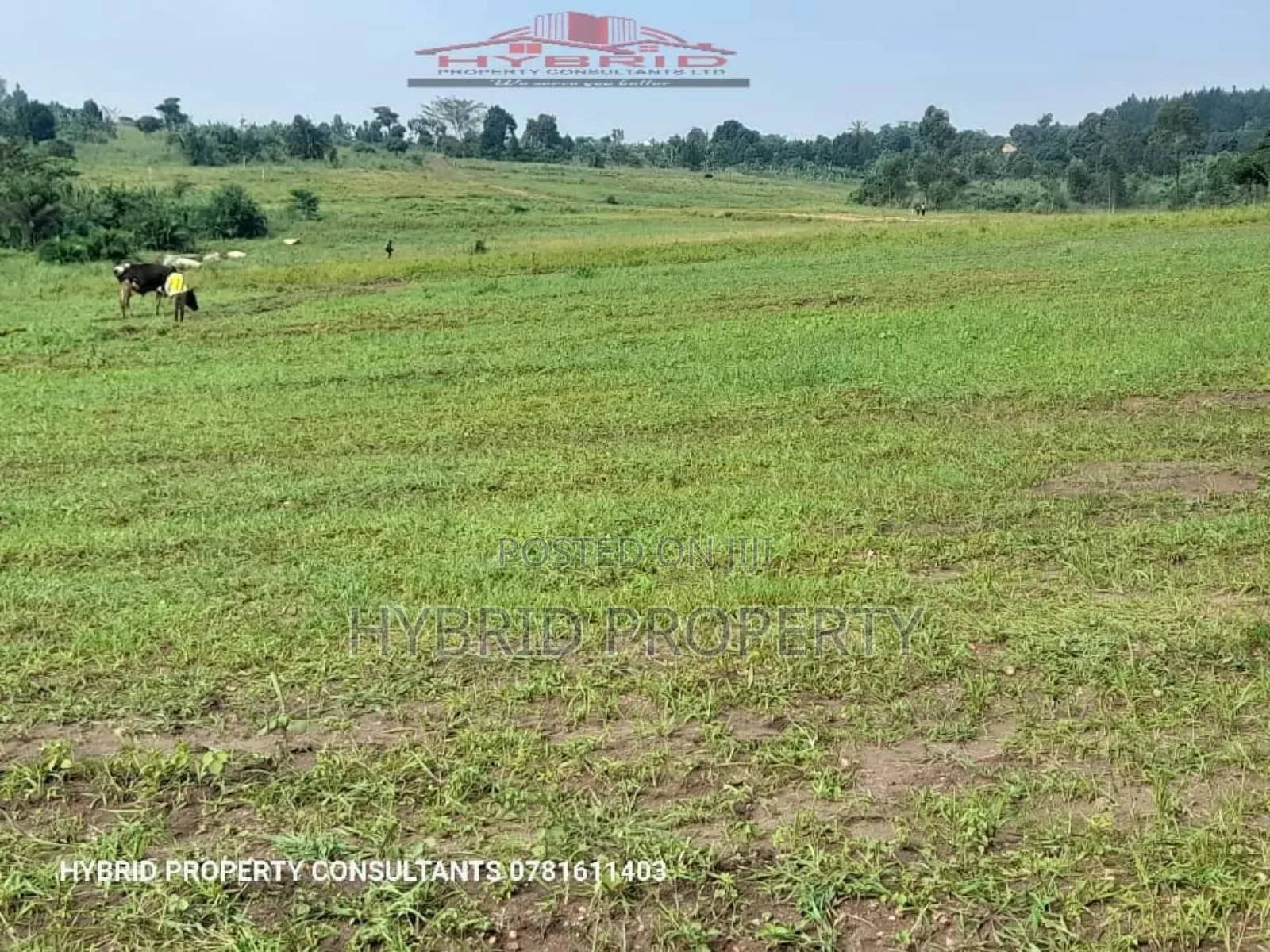 Prime Plots for Sale at Busiika~Vumba Elite Estate~Gayaza Rd
