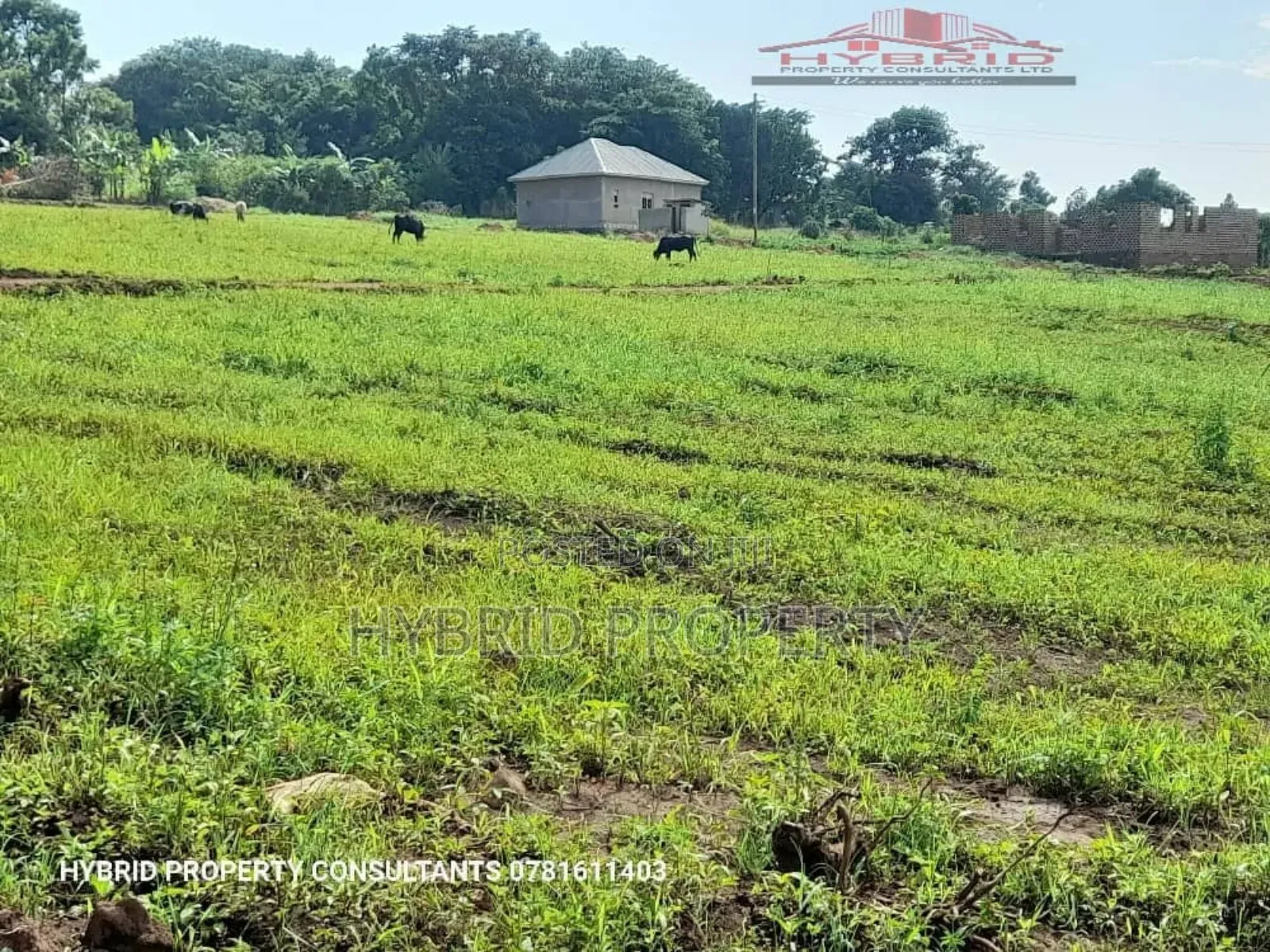 Prime Plots for Sale at Busiika~Vumba Elite Estate~Gayaza Rd