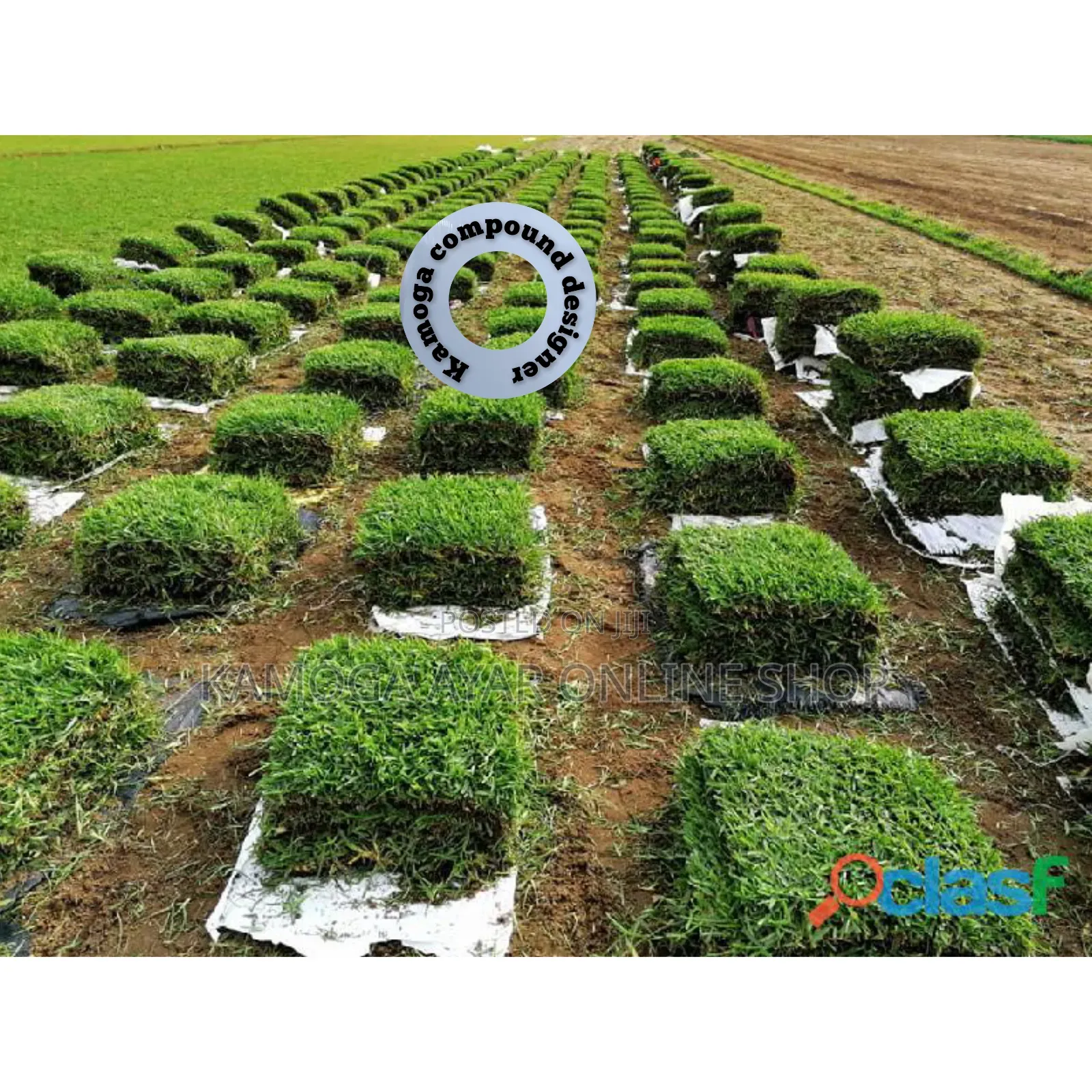 Kamoga Compound Designer and Landscaping