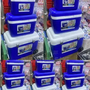 Blue Ice Cooler Box