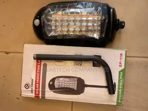 Solar Induction Lamp/ Street Light