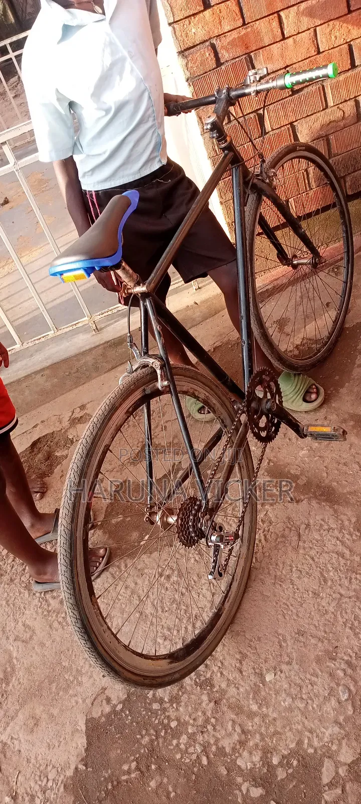 Sport Bicycle