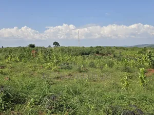 5 Acers of Land for Sale in Kiyinda ( Buikwe) Lake View 40m