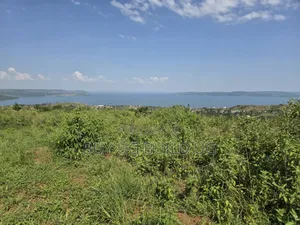 5 Acers of Land for Sale in Kiyinda ( Buikwe) Lake View 40m