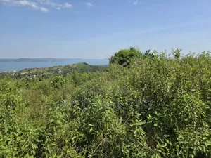 5 Acers of Land for Sale in Kiyinda ( Buikwe) Lake View 40m