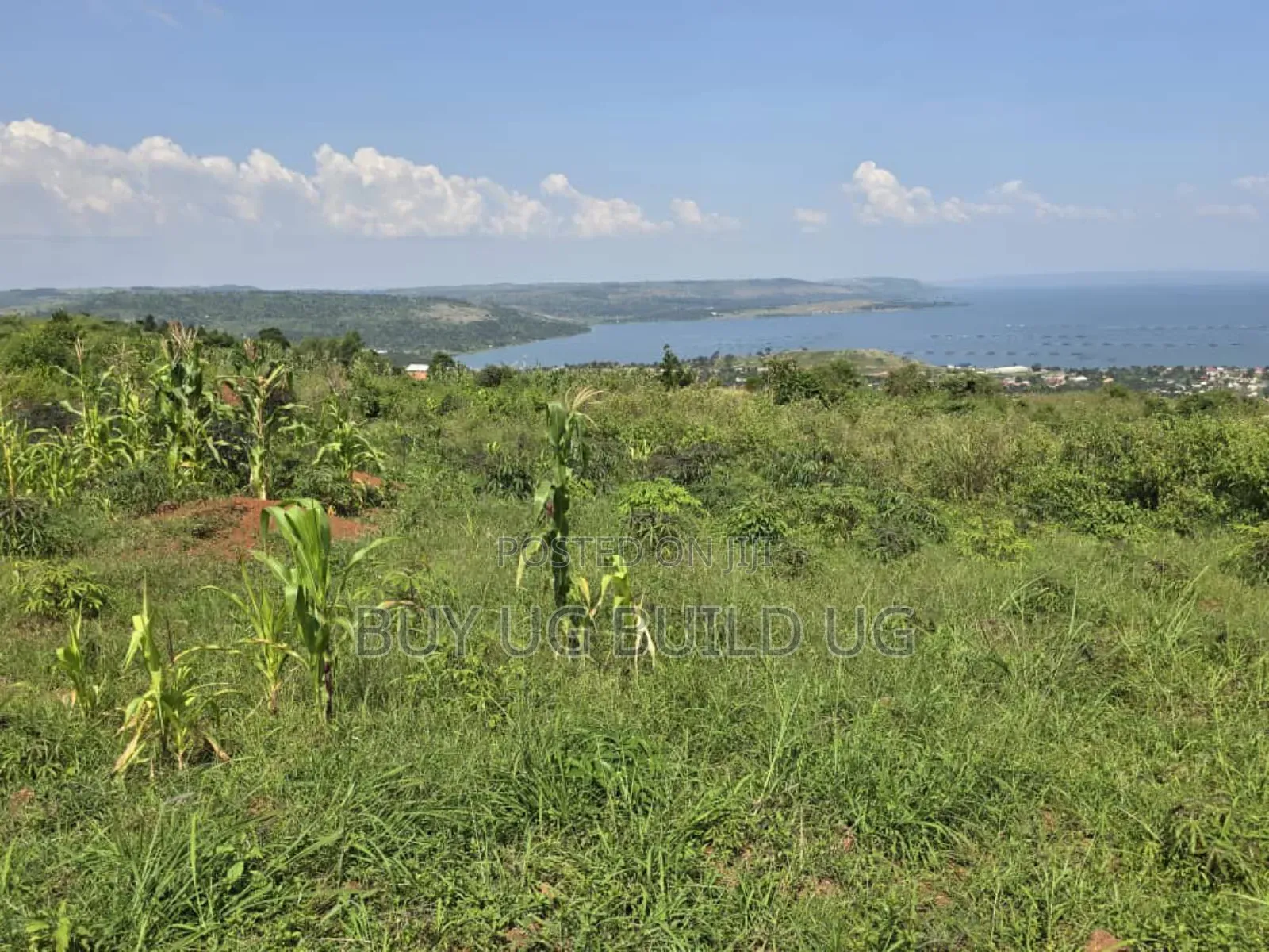 5 Acers of Land for Sale in Kiyinda ( Buikwe) Lake View 40m