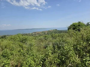 5 Acers of Land for Sale in Kiyinda ( Buikwe) Lake View 40m