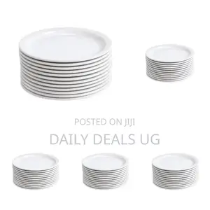 White Dinner Plate