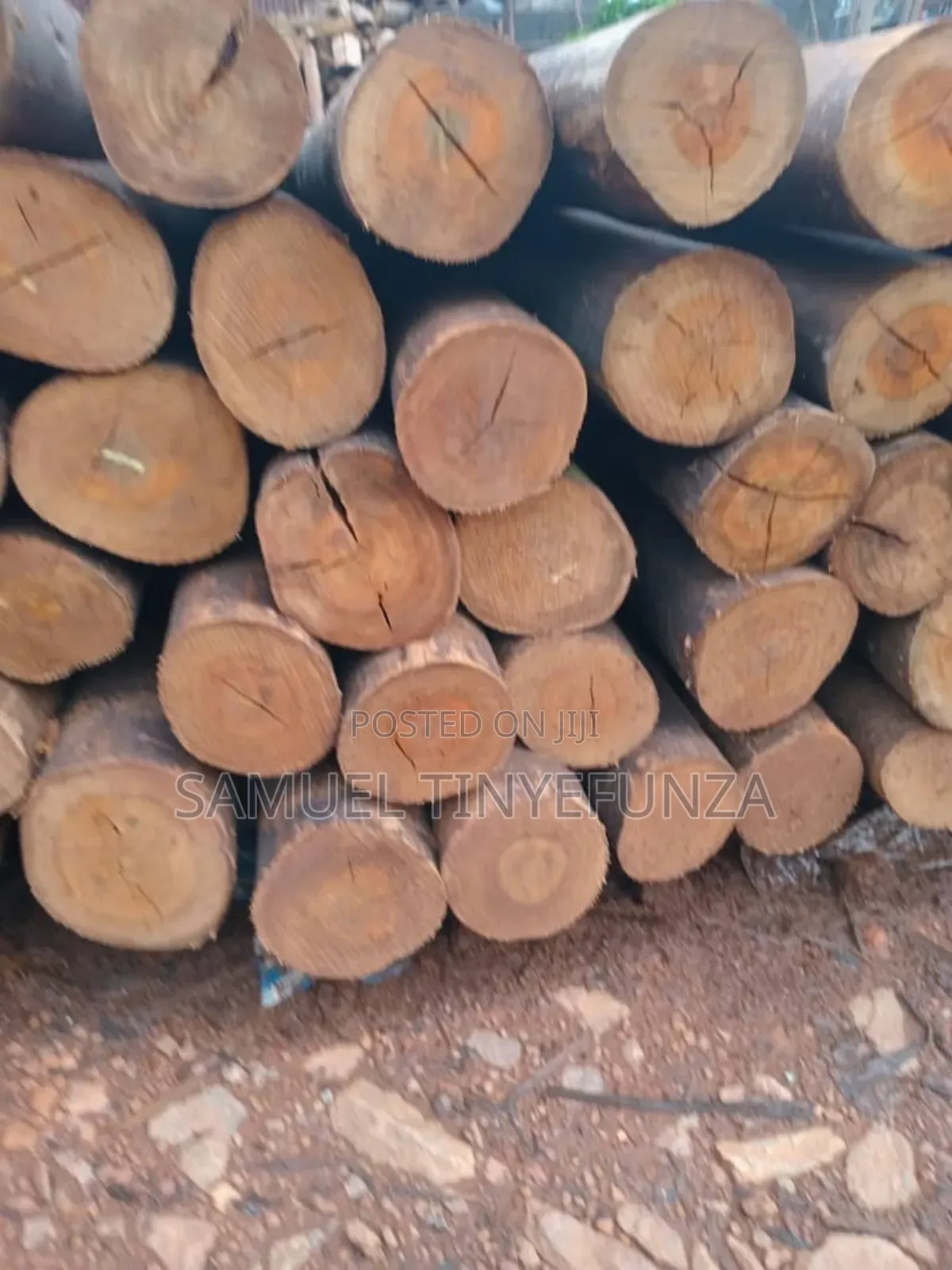 Eucalyptus Poles( Kalitunsi)Diameter 3-5 Inch,Length 26-28ft