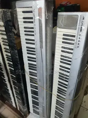 Digital Piano P-85