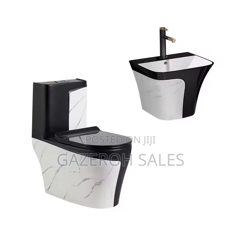 Toilet and Wash Hand Basin Combo (Modern and Convenient)