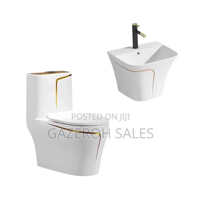 Toilet and Wash Hand Basin Combo (Modern and Convenient)