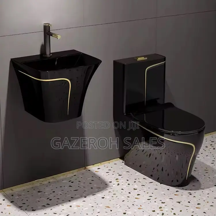 Toilet and Wash Hand Basin Combo (Modern and Convenient)