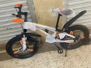 Teenager Bikes