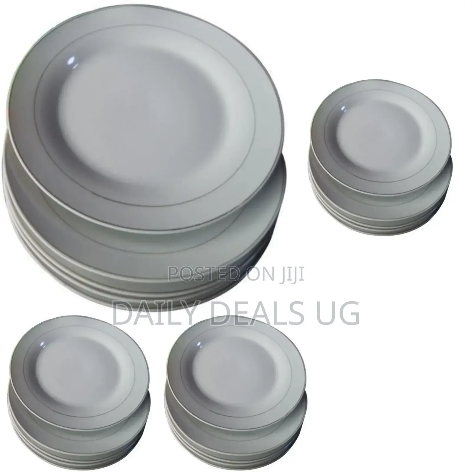 Dinner Plate Set