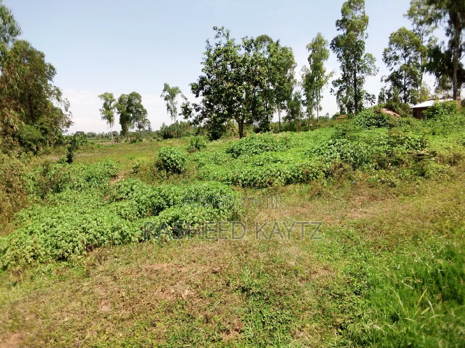 Land Along Jinja - Tororo Highway on Sale