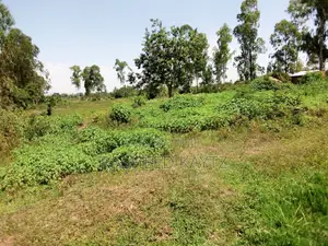 Land Along Jinja - Tororo Highway on Sale
