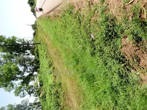 Land Along Jinja - Tororo Highway on Sale
